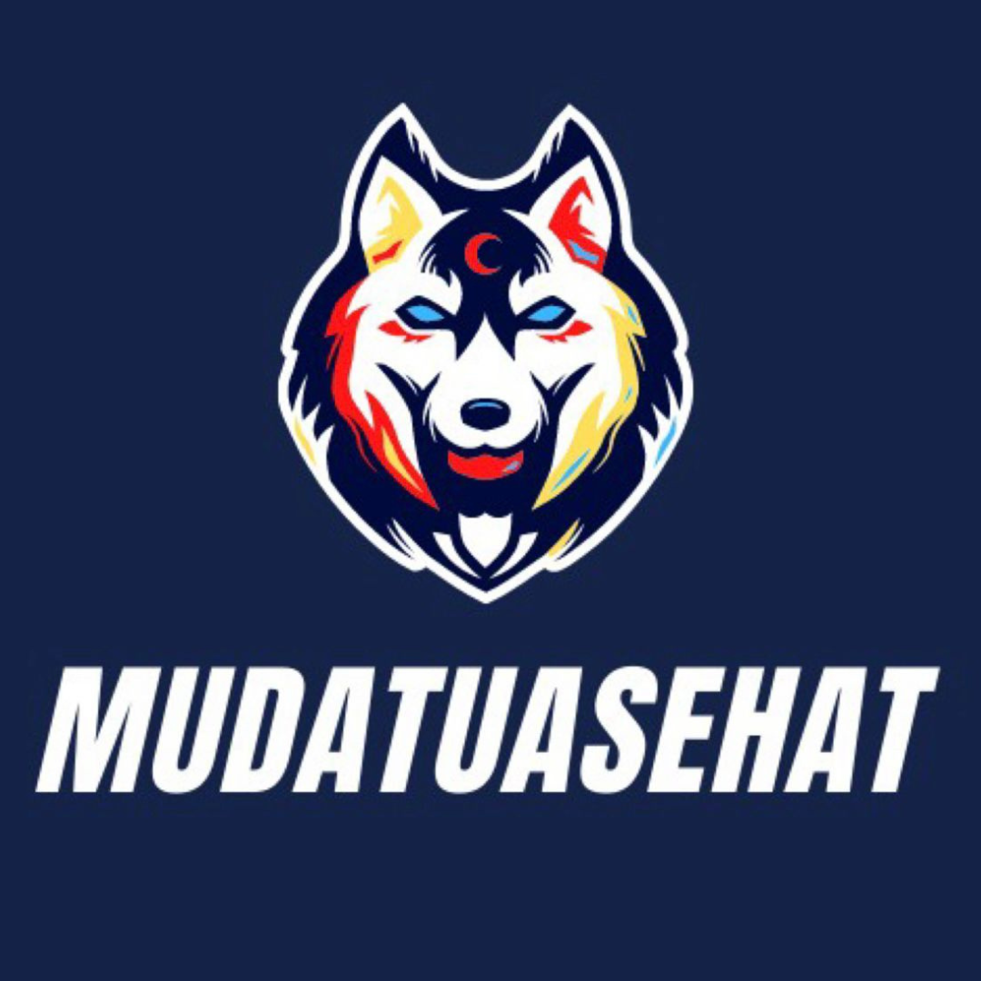 Logo MTS Hub